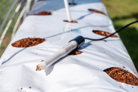Bluelab Combo Meter with Soil pH Probe METCOMPLUS