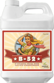 Advanced Nutrients B-52 500 ml