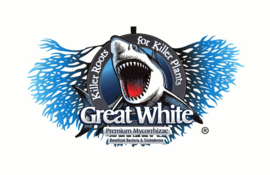 Great White