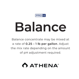 Athena Pro Balance 11 kg