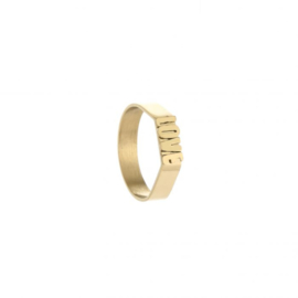 Ring - Statement Love