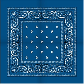 Bandana blauw