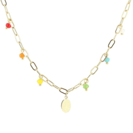 Ketting - Regenboog Leopard