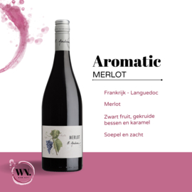 Aromatic Merlot