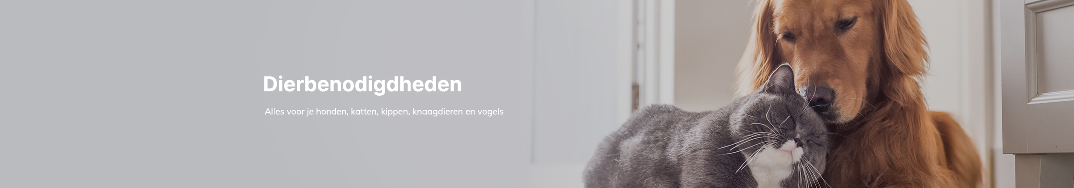 Variatics dierbenodigdheden