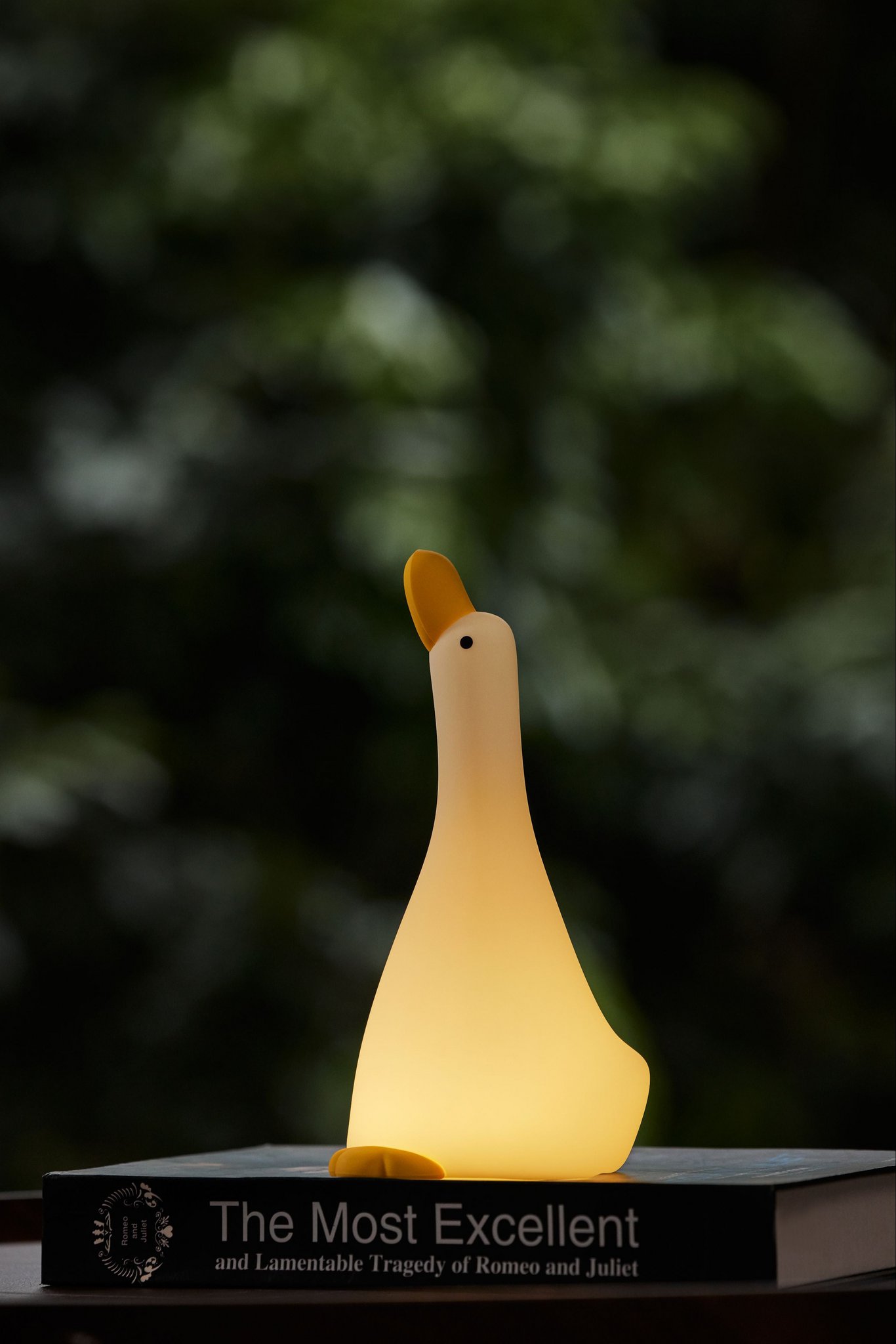 Nachtlampje Gans