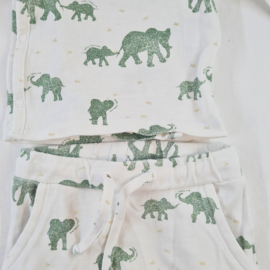 Set | Prenatal | 62