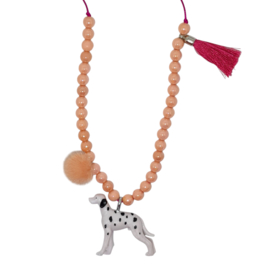 Dierenketting | Hond