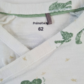 Set | Prenatal | 62