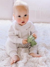 Mijn Eerste Dino | Trice