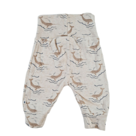 Broek | Feetje | 62