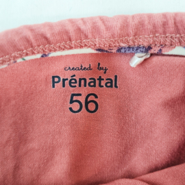 Set | Prenatal | 56