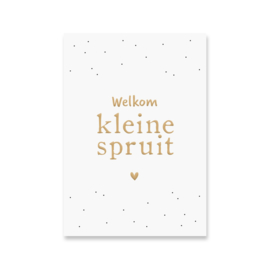 Kaart Kleine Spruit | Goudfolie