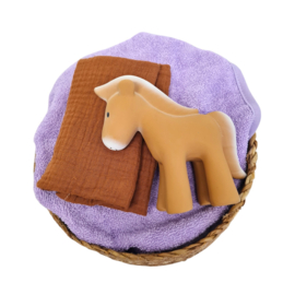 Kraamcadeau in een mandje | Paard