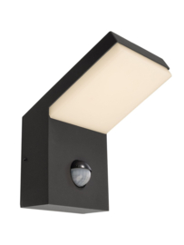 DekoLight Surface mounted wall lamp Tucanae Motion