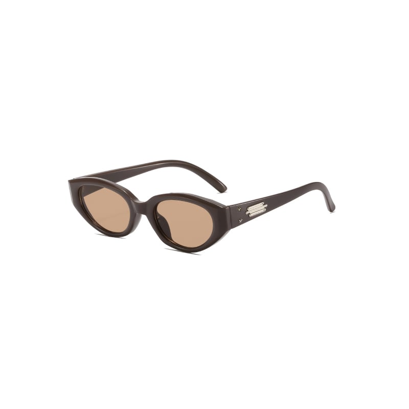 Classy Sunglasses Brown