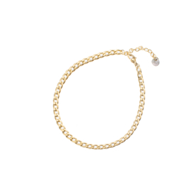 Enkelbandje Flat Round Link Gold