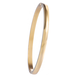 Classic Bangle M Gold