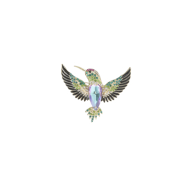 Broche Humming Bird