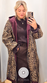 Jacket Lize