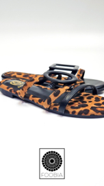Slipper Leo