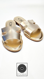 Slipper Zamola