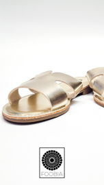 Slipper Zamola