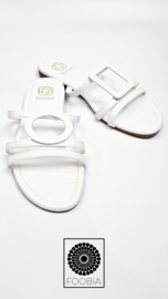 Slipper Mya
