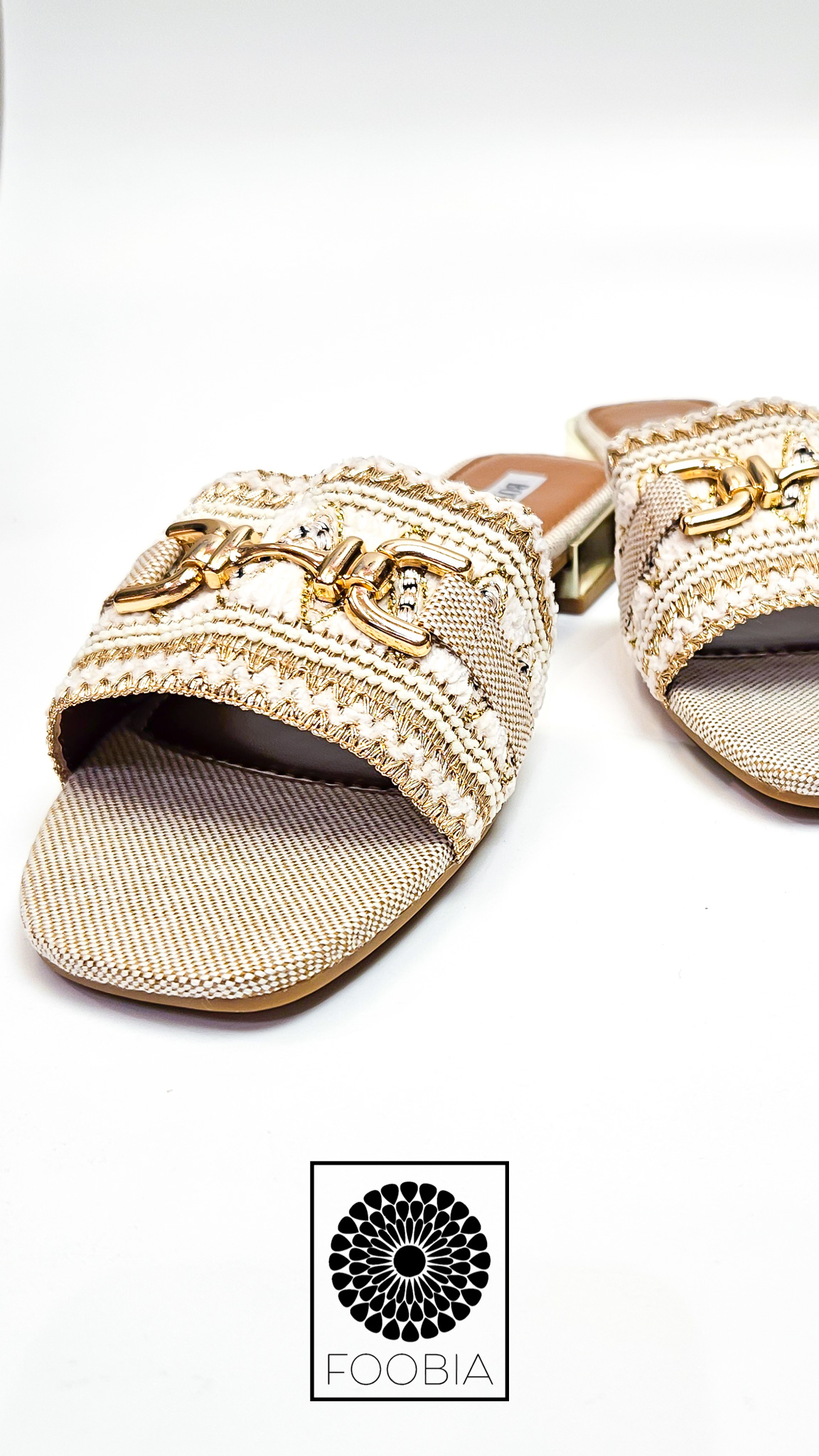 Slipper Galo
