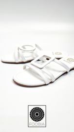 Slipper Mya