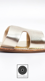 Slipper Zamola