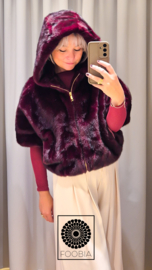 Jacket June