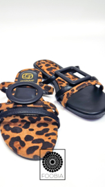 Slipper Leo