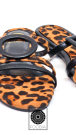 Slipper Leo