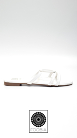 Slipper Mya