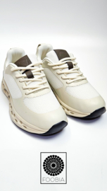 Sneaker Stella