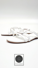 Slipper Mya