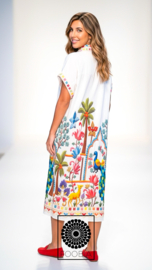 Dress Peacook