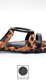 Slipper Leo