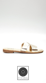Slipper Zamola