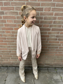 Pailletjes broek goud