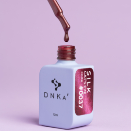 DNKa' Gel Polish Cat Eye Silk  - 0037