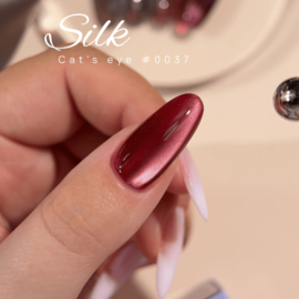 DNKa' Gel Polish Cat Eye Silk  - 0037