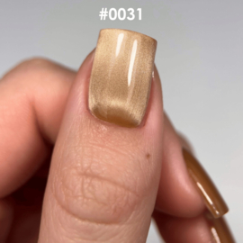 DNKa' Gel Polish Cat Eye Silk  - 0031