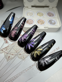 Fade & Ombre Pearl Gel  - Box 6 kleuren