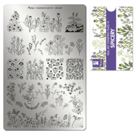 Moyra Stamping Plate 091 Spicery