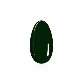 HGP+ Bottle Green 041 - 12ml - HEMA & TPO FREE