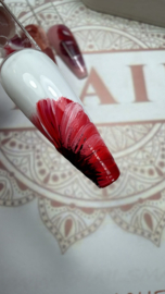 Fade & Ombre Bliss Gel  - Box 6 kleuren
