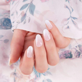 Seashell - 7.2ml - 6343-7