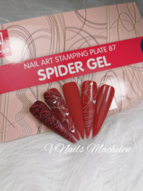 Moyra Stamping Plate 087 Spidergel